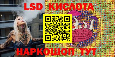 бошки Гай