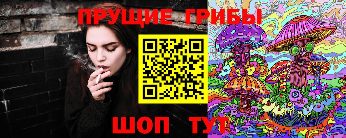 Псилоцибиновые грибы мицелий  Вход с VPN  Махачкала 